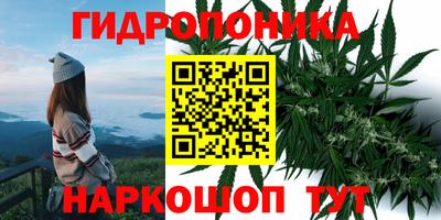 mix Будённовск