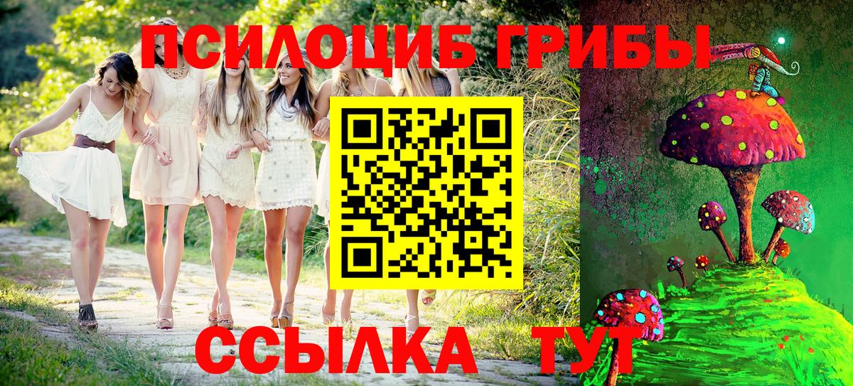 Псилоцибиновые грибы прущие грибы Пенза